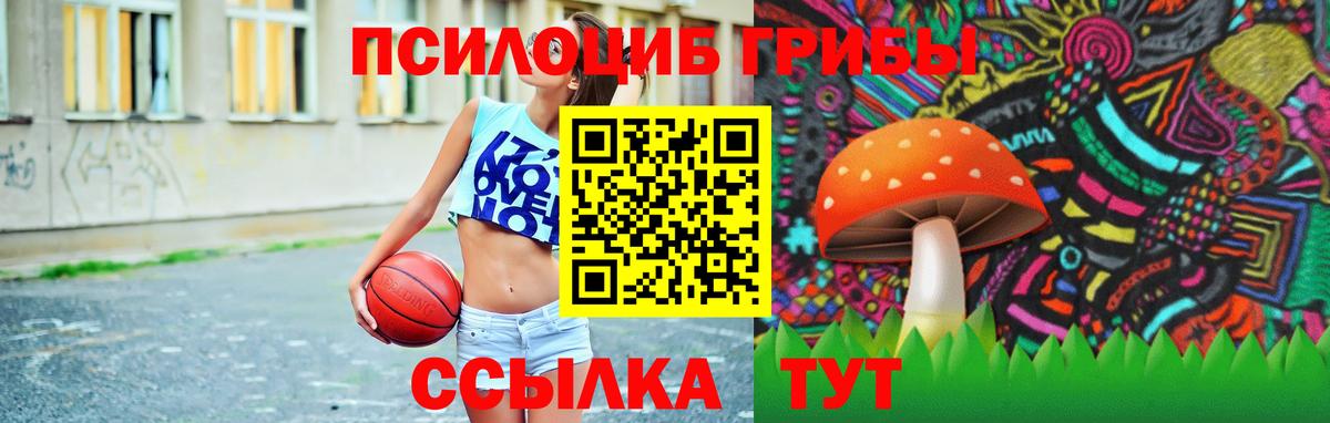 Псилоцибиновые грибы прущие грибы  Вход с VPN  Галлюциногенные грибы Psilocybine cubensis  Тосно 